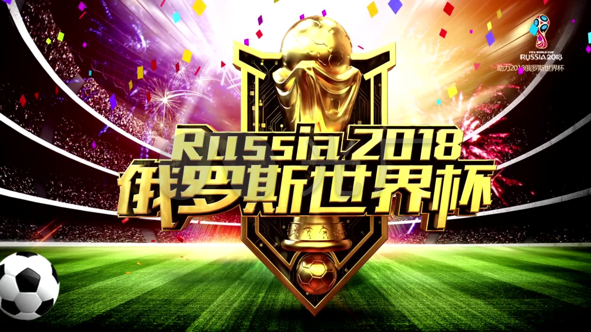 阵容